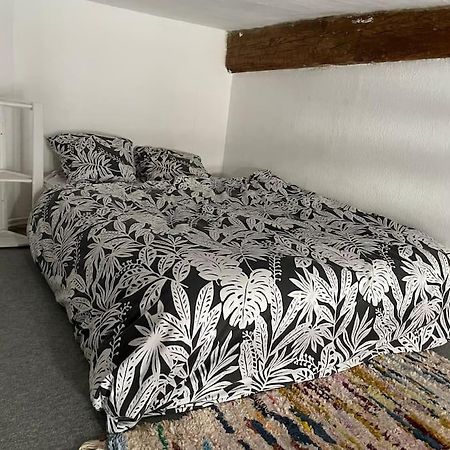 Appartement De Caractere Au Coeur Du Centre-Ville Μονπελιέ Εξωτερικό φωτογραφία