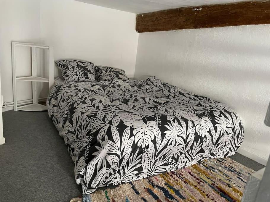 Appartement De Caractere Au Coeur Du Centre-Ville Μονπελιέ Εξωτερικό φωτογραφία